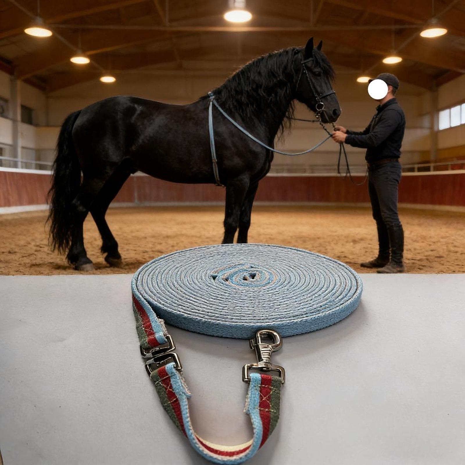 เชือกจูงม้า, เชือกฝึกม้าสำหรับ - Lunge Line Horse บทวิจารณ์และราคา